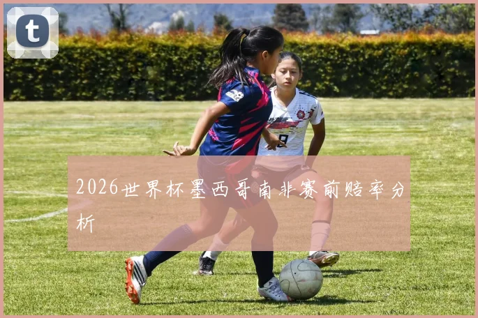 2026世界杯墨西哥南非赛前赔率分析
