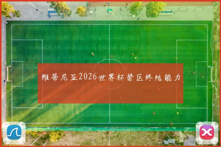 维蒂尼亚2026世界杯禁区终结能力