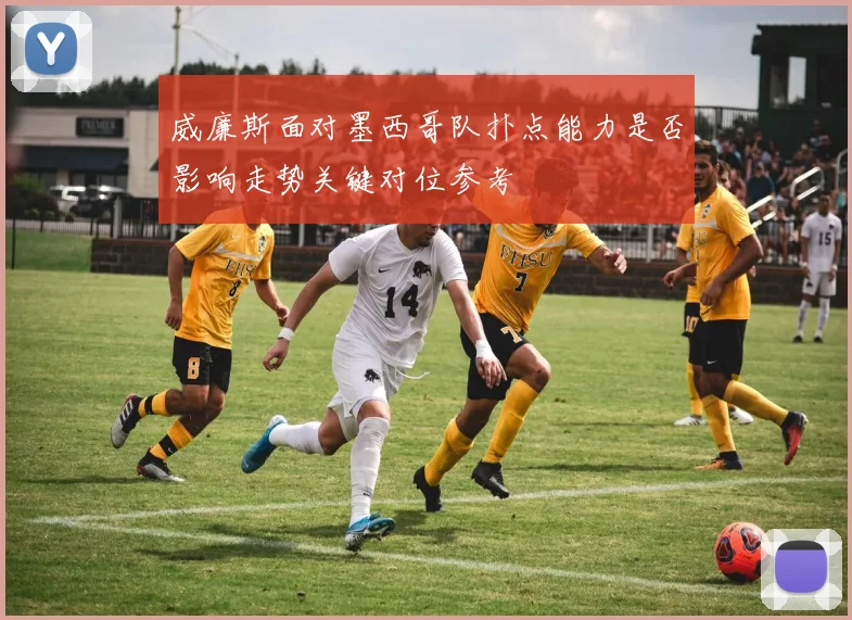 威廉斯面对墨西哥队扑点能力是否影响走势关键对位参考