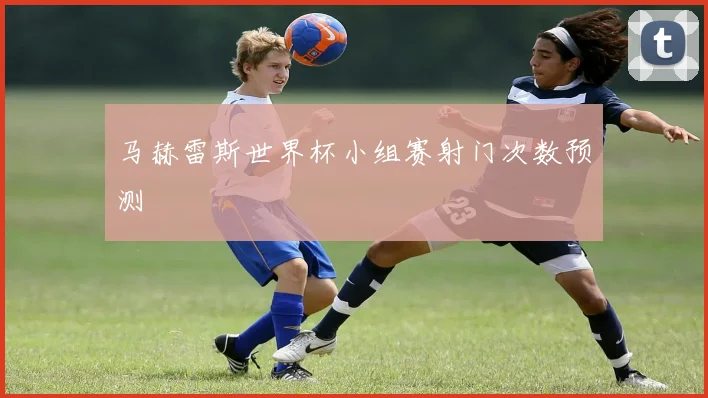 马赫雷斯世界杯小组赛射门次数预测