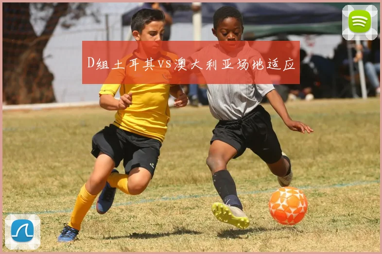 D组土耳其vs澳大利亚场地适应