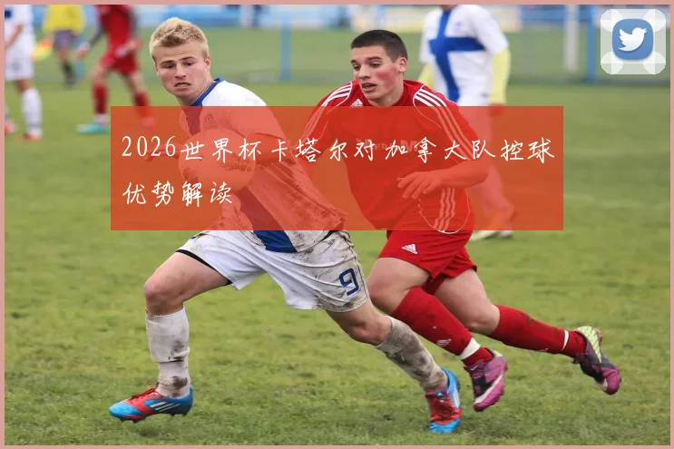 2026世界杯卡塔尔对加拿大队控球优势解读