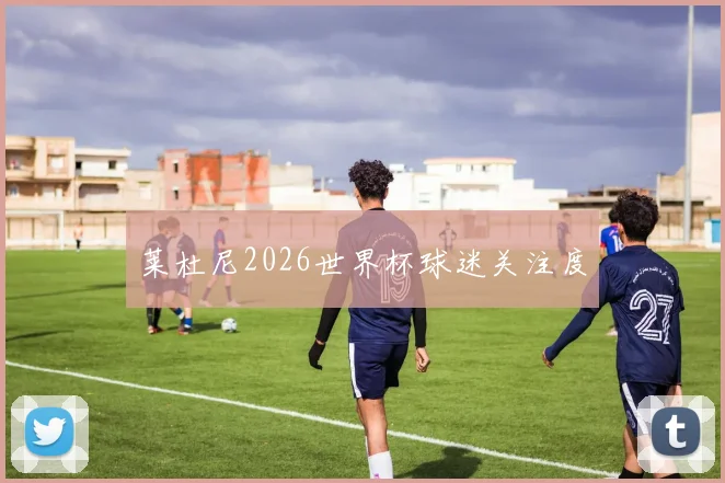 莱杜尼2026世界杯球迷关注度