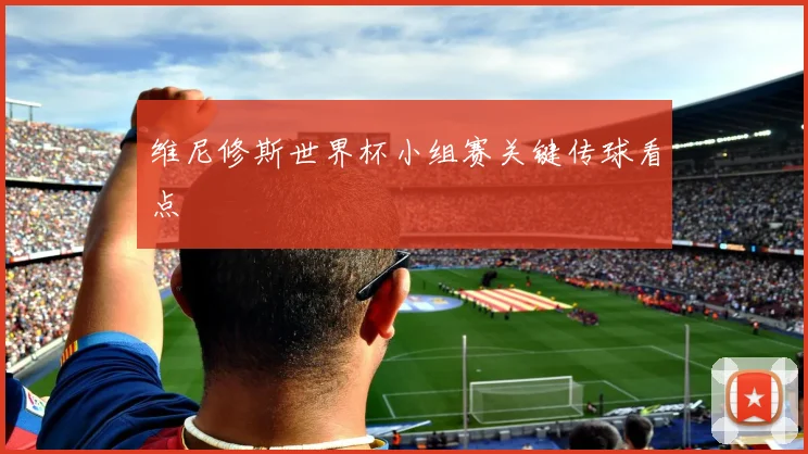 维尼修斯世界杯小组赛关键传球看点