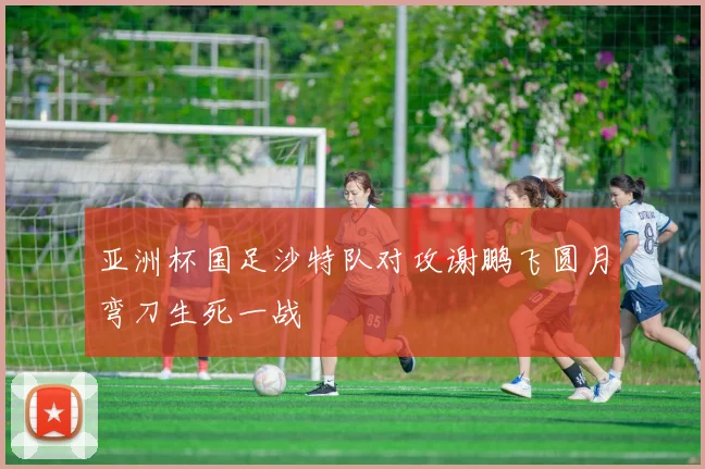 亚洲杯国足沙特队对攻谢鹏飞圆月弯刀生死一战