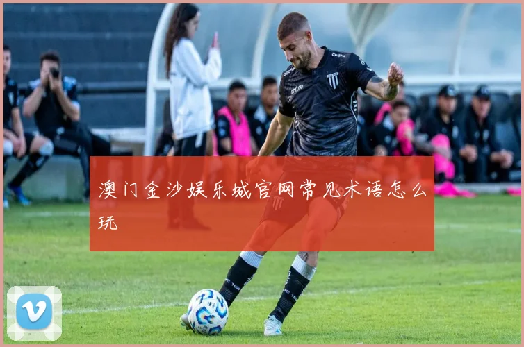 澳门金沙娱乐城官网常见术语怎么玩
